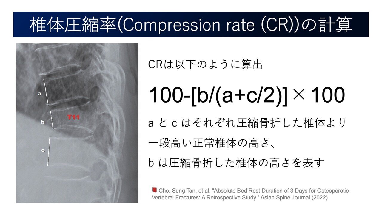 椎体骨折の安静日数。3日 or 14日?|Super Human | 理学療法士 椎体骨折の安静日数。3日 or 14日?|Super Human | 理学療法士