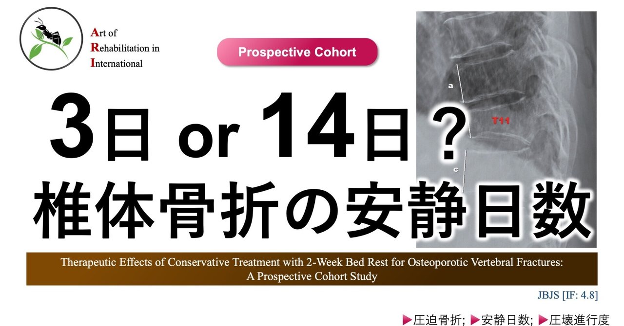 椎体骨折の安静日数。3日 or 14日？｜Super Human | 理学療法士