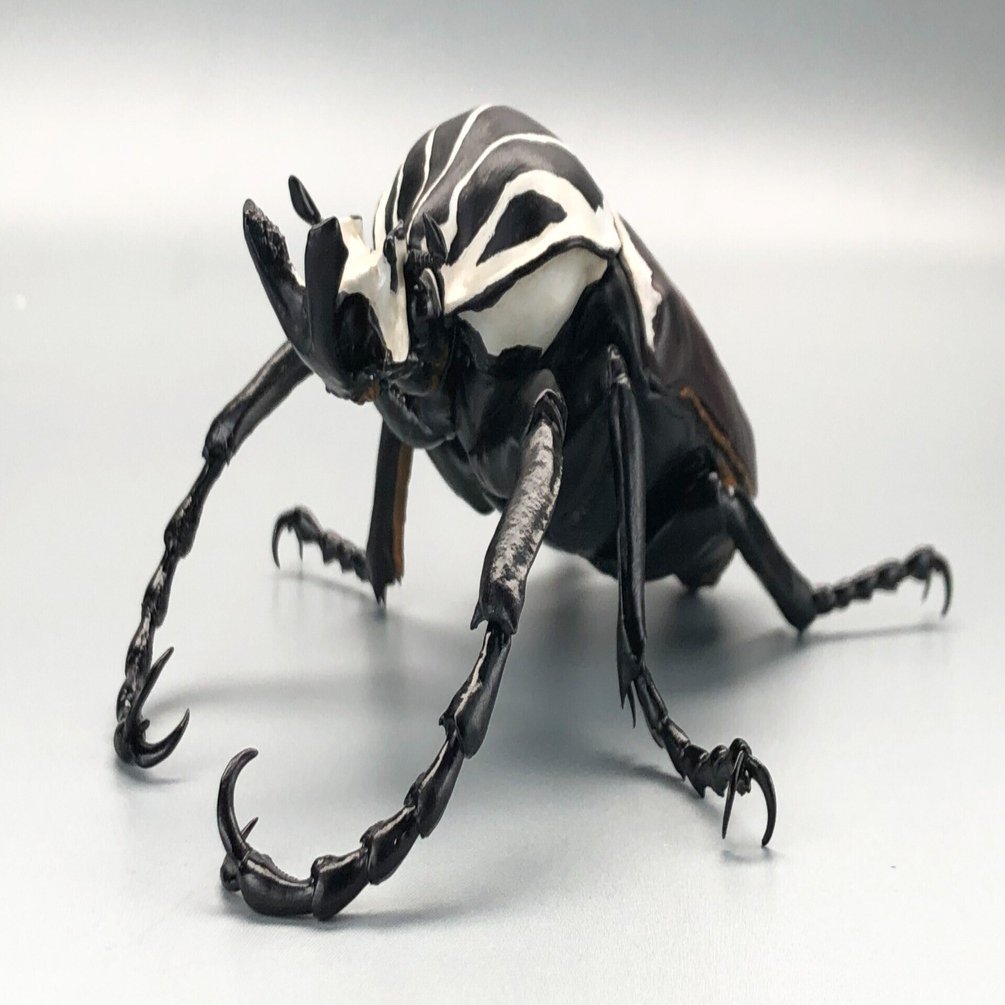 M◆ゴライアスオオツノハナムグリ　2頭　昆虫標本 M◇ゴライアスオオツノハナムグリ 2頭 昆虫標本 - メルカリ