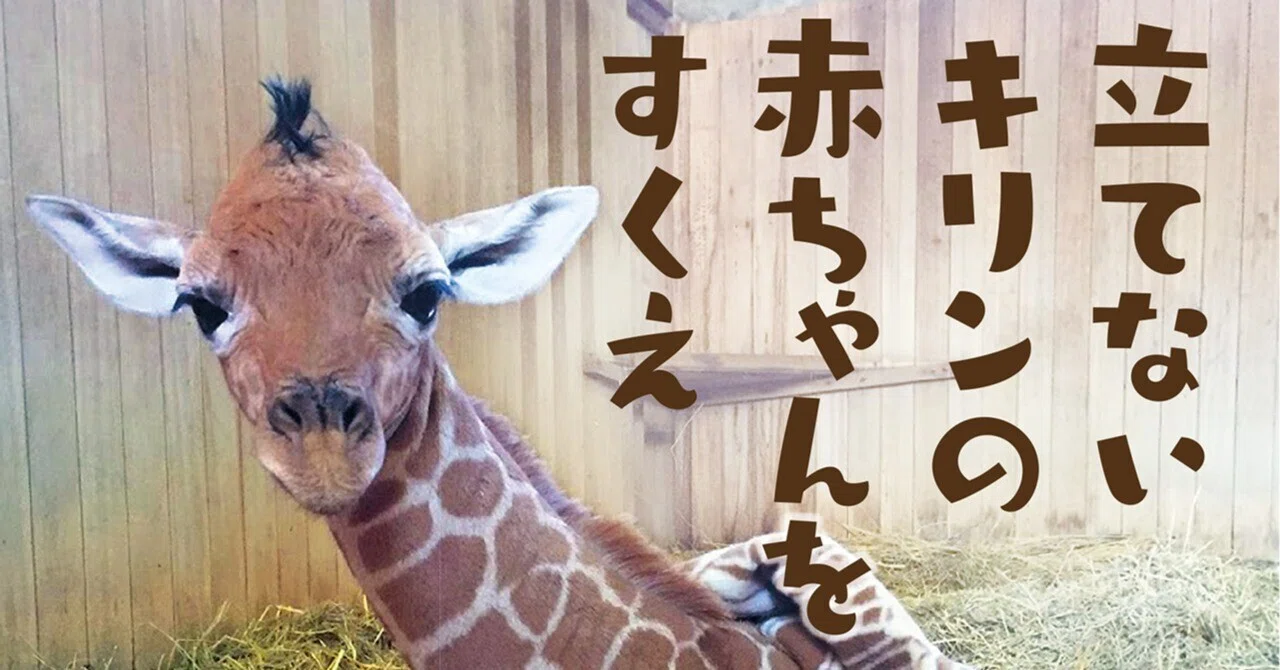 キリン様確認用 product-898944.jpg?v=