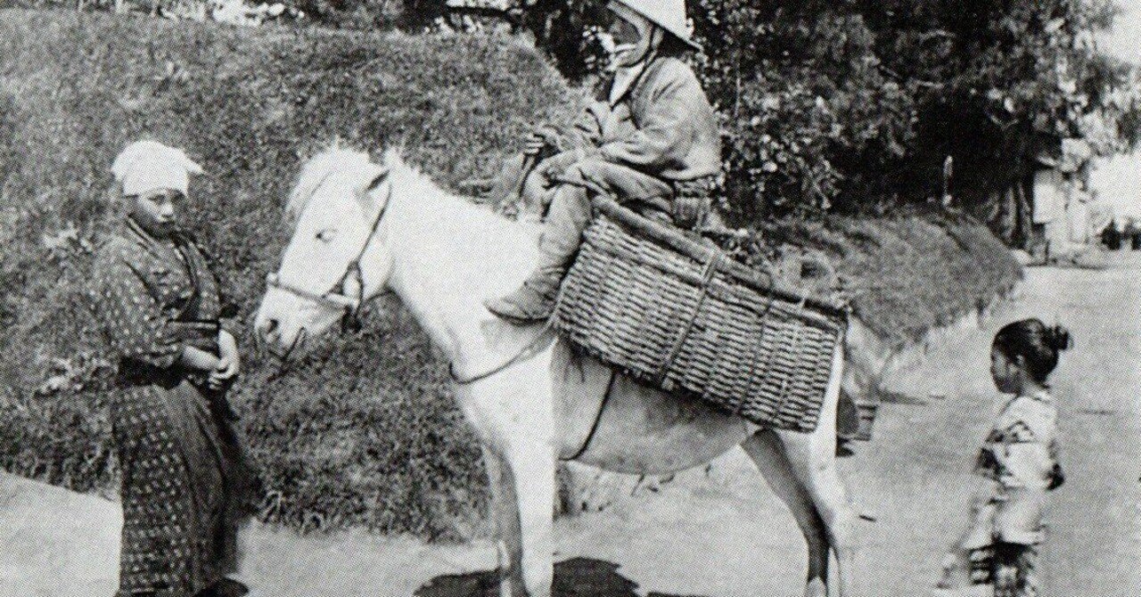 写真録 馬 函館の野菜売り 江島 達也 対州屋 Note