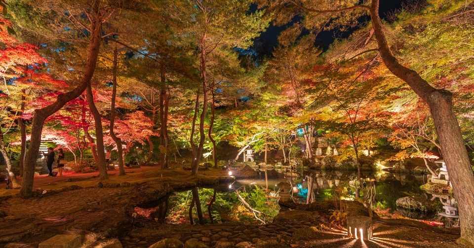 秋保温泉 天守閣自然公園の紅葉ライトアップがやはり幻想的だった 写真レポート 4 Tad Note