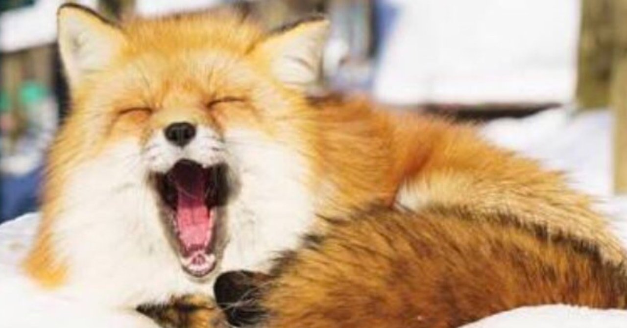 netgeek運営者バレる！？さらなる続報により窮地に立たされる！ 会社所在地は自民党議員の連絡事務所（加筆）｜かとさよ＠狐狸新党のNote