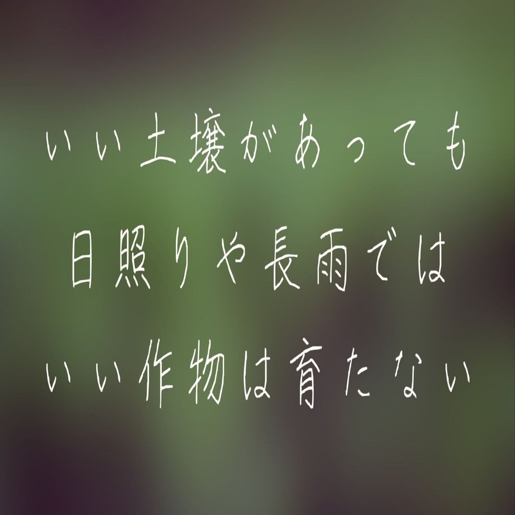 いい土壌があっても日照りや長雨ではいい作物は育たない 黒田悠介 議論メシ主宰 Note