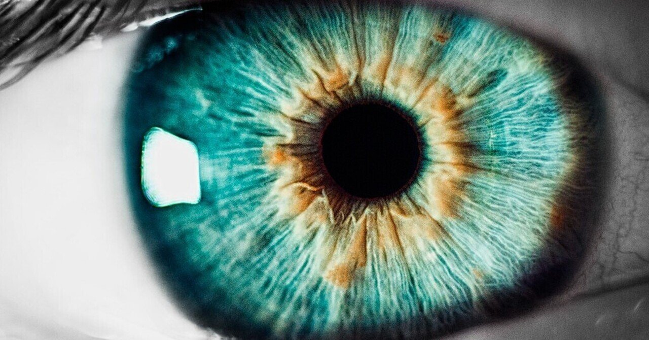 【準創作】Fear of closing eyes 2000字のホラー｜すず太郎