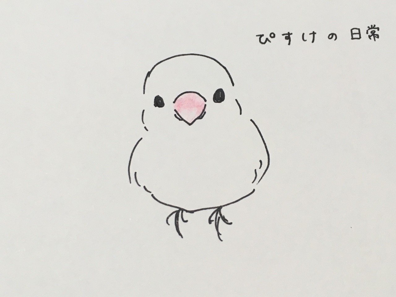 文鳥ぴすけの日常 1 裕加 Yuka Note 文鳥ぴすけの日常 1 裕加 Yuka Note