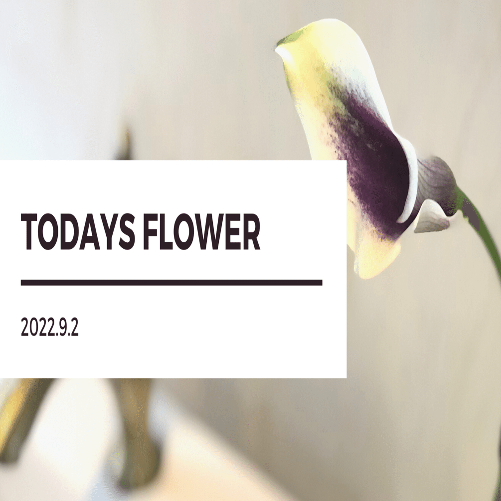 22 9 2 きょうのおはな 木の下の花屋 Kazamidori Note