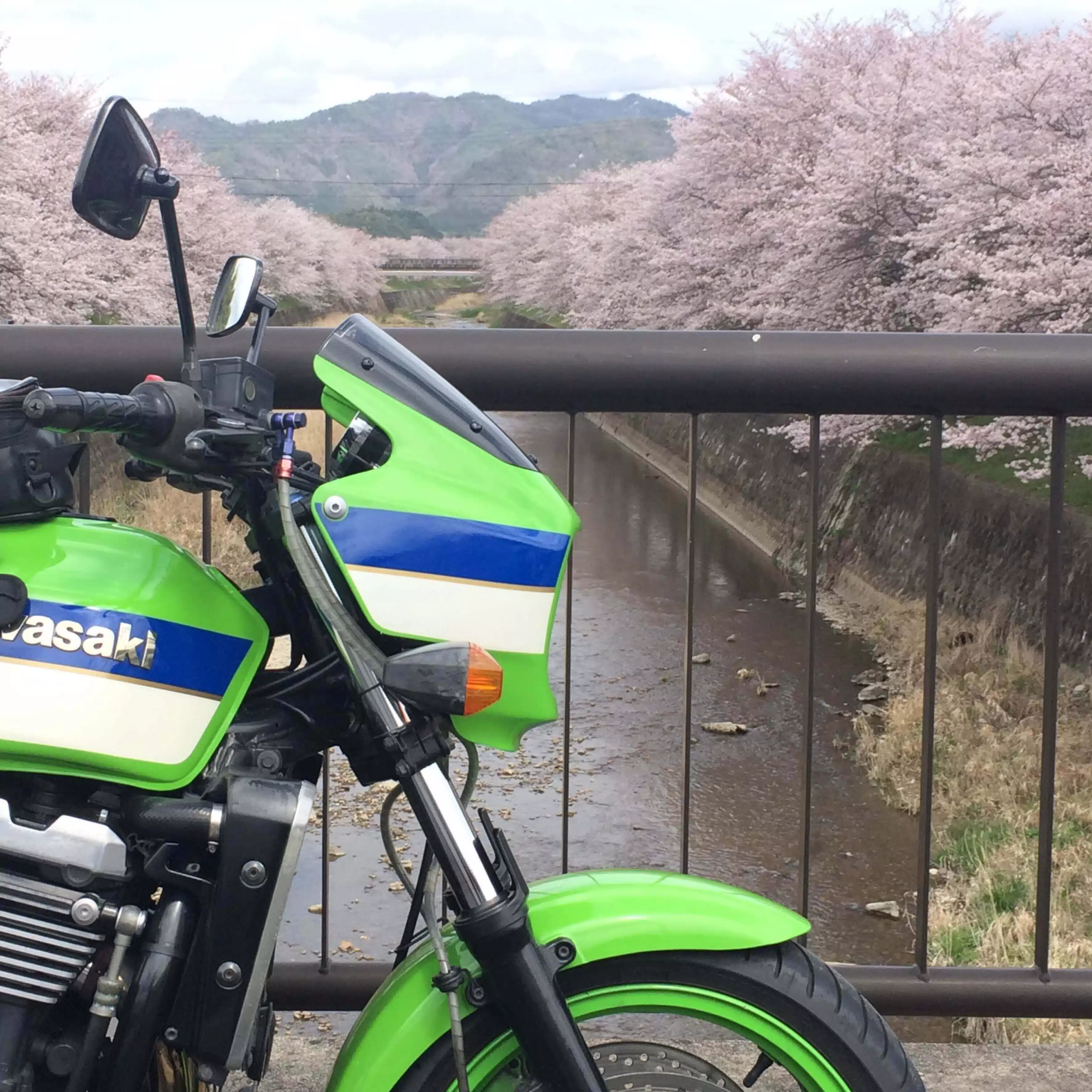 shio
