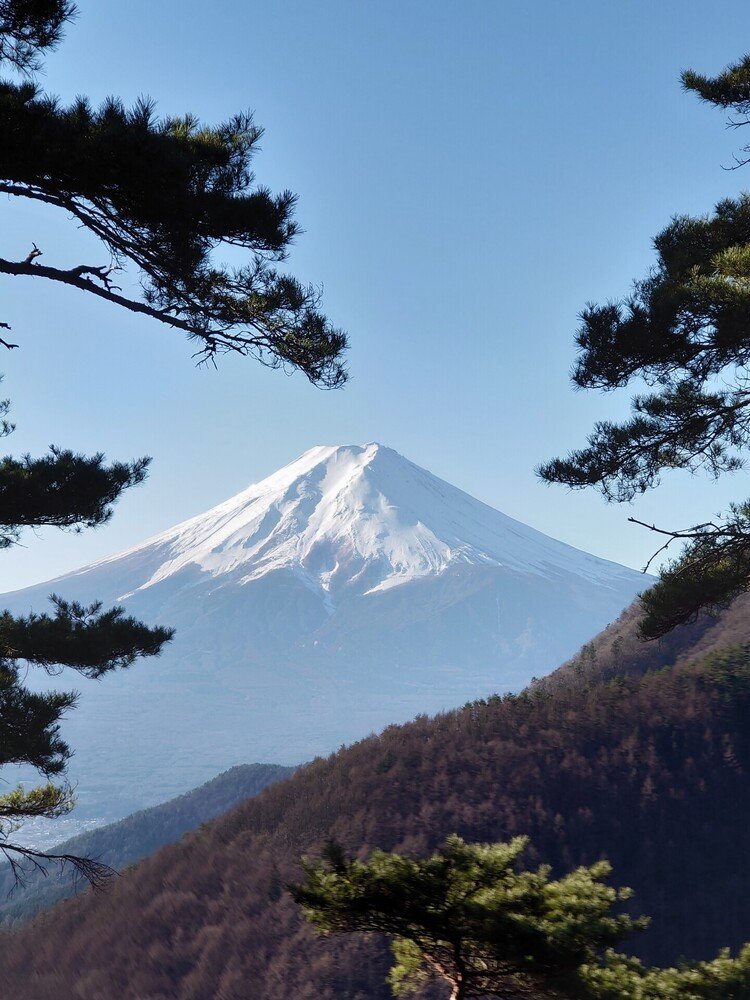 三ッ峠山から見た富士山。雪の掛かり方が完璧で、今まで見た富士山の中で一番「いかにも富士山」といった形をしていた。「富士山は登る山じゃなく見る山」なんて言葉もあるけど、登っても楽しいし眺めても美しいのが富士山だと思う。