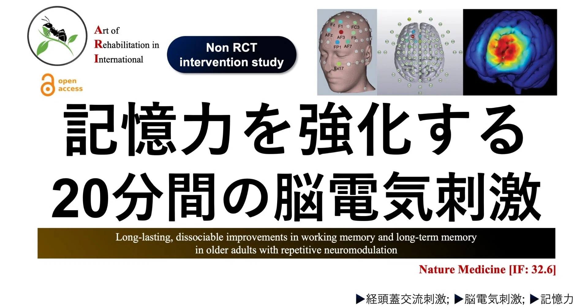 ミミテックII SS-2 右脳記憶 音読記憶学習 記憶力向上 学習能力向上