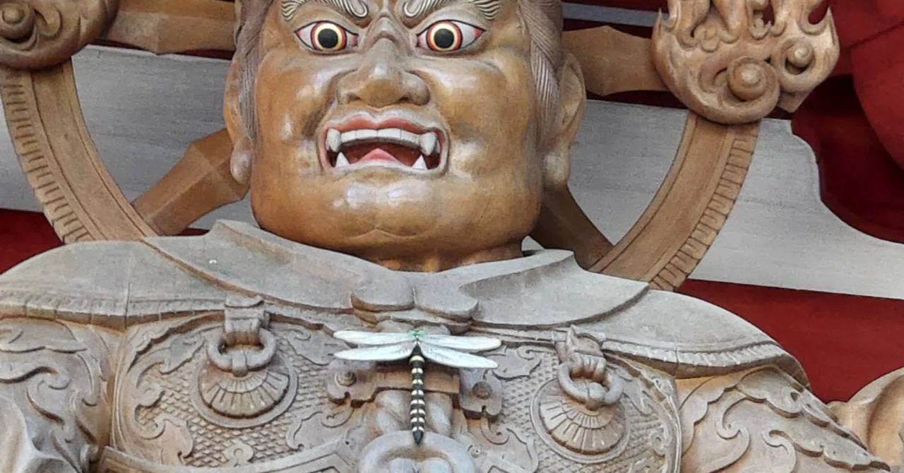 くくくくるしいあはははは！！！｜ひこの