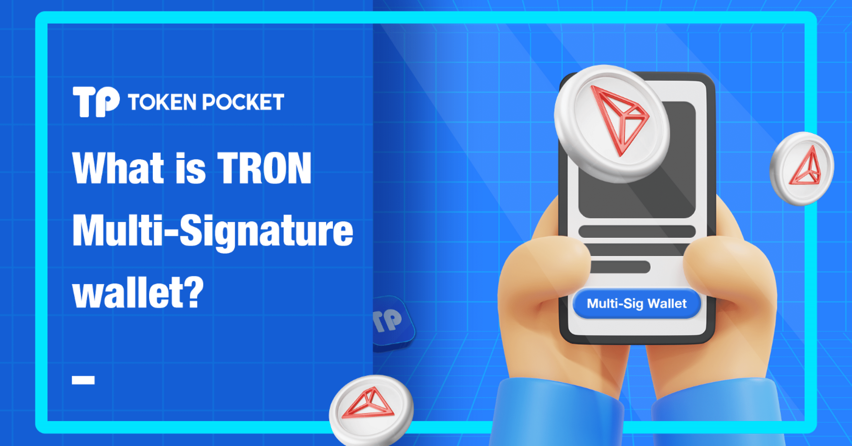 TRON(TRX)のマルチシグウォレットとは？！ │ ニーモニックフレーズ(秘密鍵)送り付け詐欺に注意！！｜TokenPocket  (トークンポケット) 公式