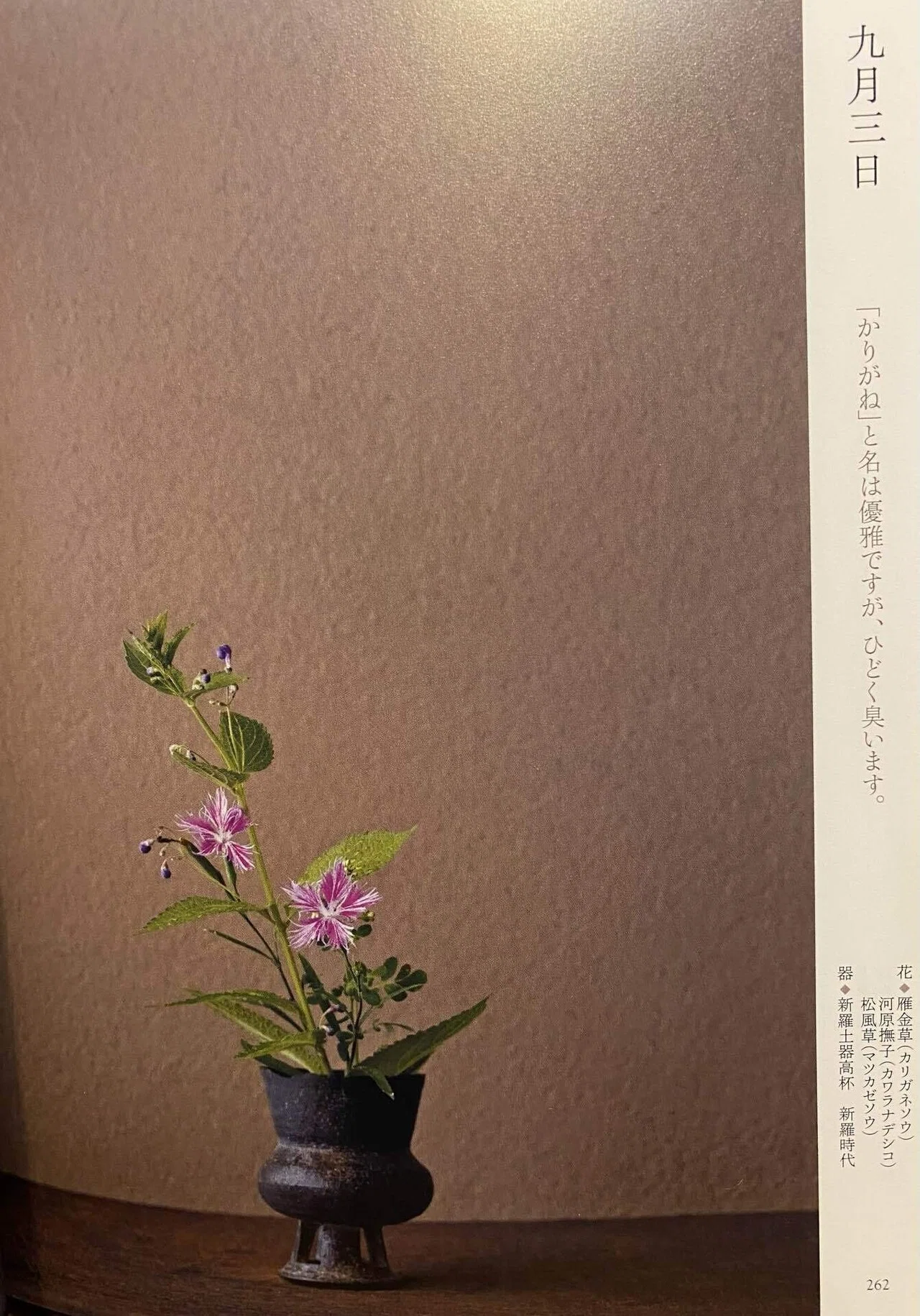 僕の本棚 一日一花｜shinmr