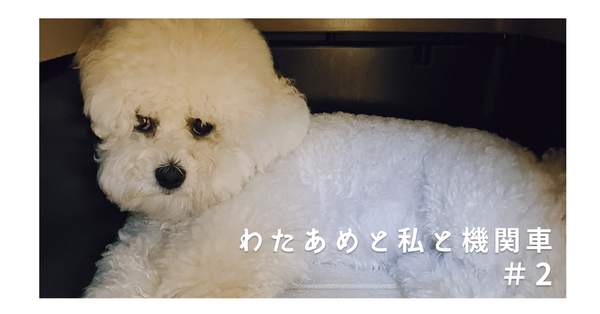 私の戦闘力は530000です。｜ぷりじぇ。