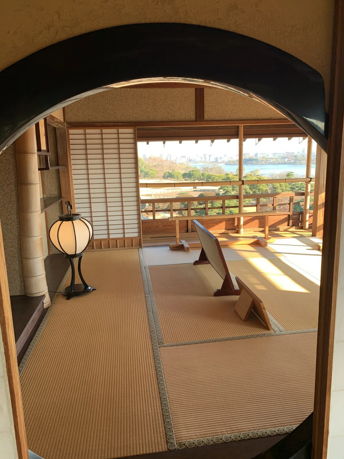 画像7