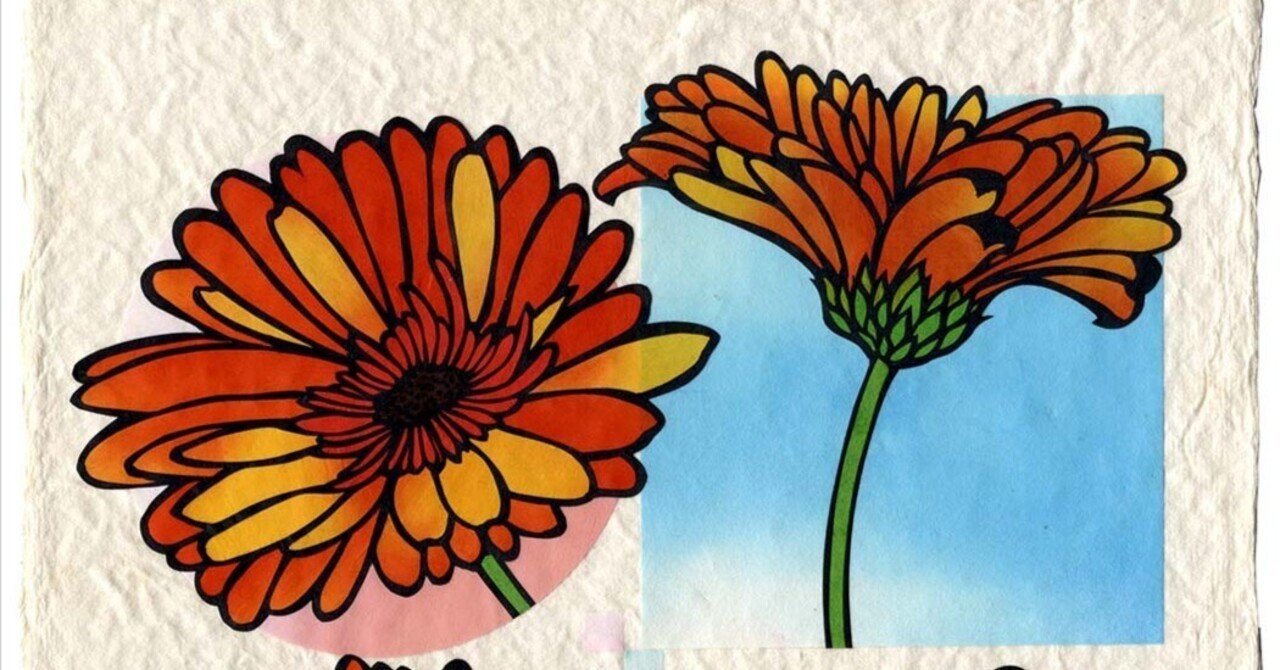 ガーベラ Sengaart Note