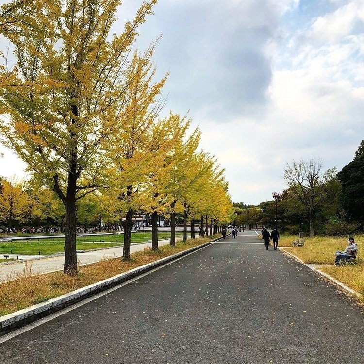 秋の散歩 in 昭和記念公園1  BGMは「恋人よ/五輪真弓さん」でお願いします