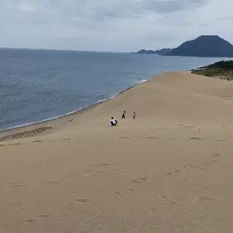 あふれるネコ