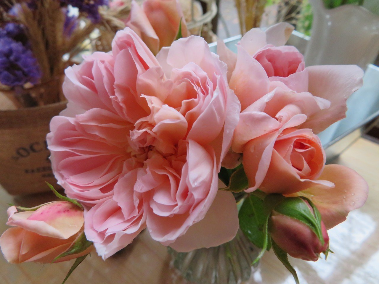 薔薇の冬支度が始まる 今日はアリアドネ 足袋猫 Note 薔薇の冬支度が始まる 今日はアリアドネ 足袋猫 Note