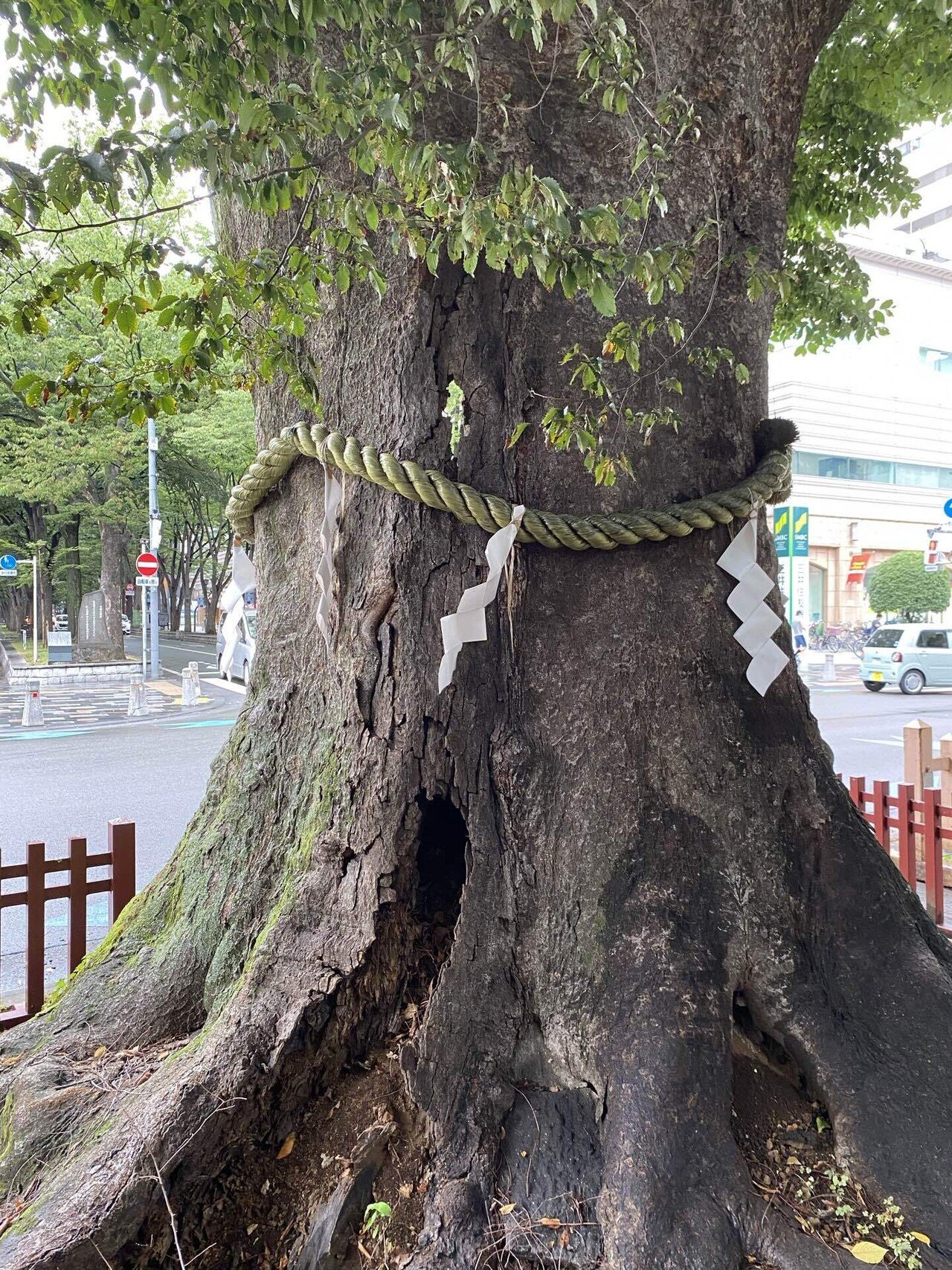 令和版武蔵野探勝会 其の一｜楠本奇蹄