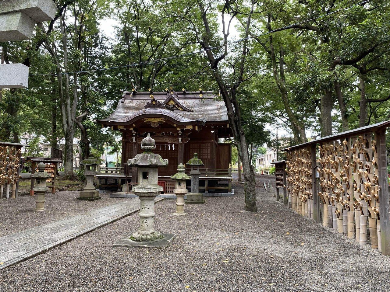 令和版武蔵野探勝会 其の一｜楠本奇蹄