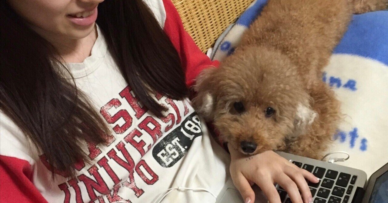 犬を見たい人と犬を見せたい人をマッチングするサービスがほしい 川代紗生 カワシロ サキ Note