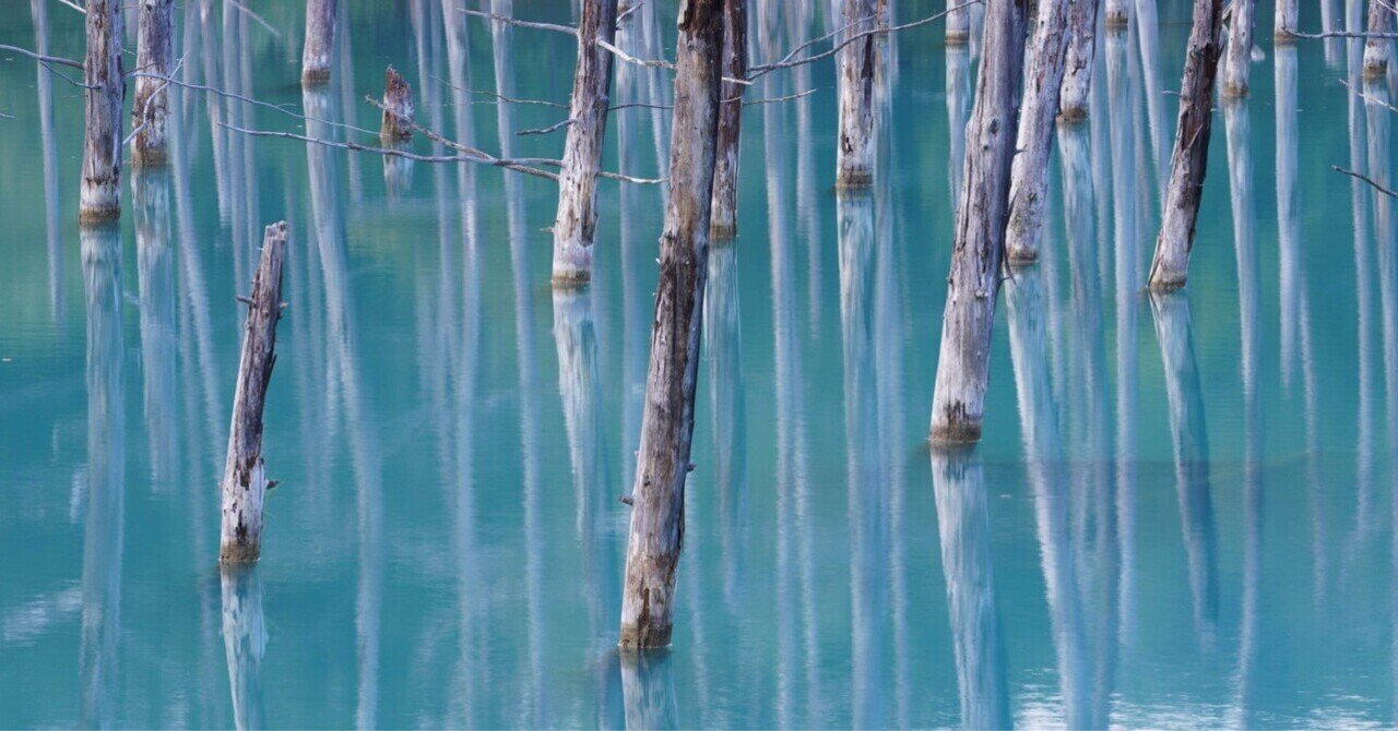 車中泊からの丘めぐり 夏のphotoブレ幅旅4日目 美瑛 富良野 旭川編 Hirotographer Note 車中泊からの丘めぐり 夏のphotoブレ幅旅4日目 美瑛 富良野 旭川編 Hirotographer Note
