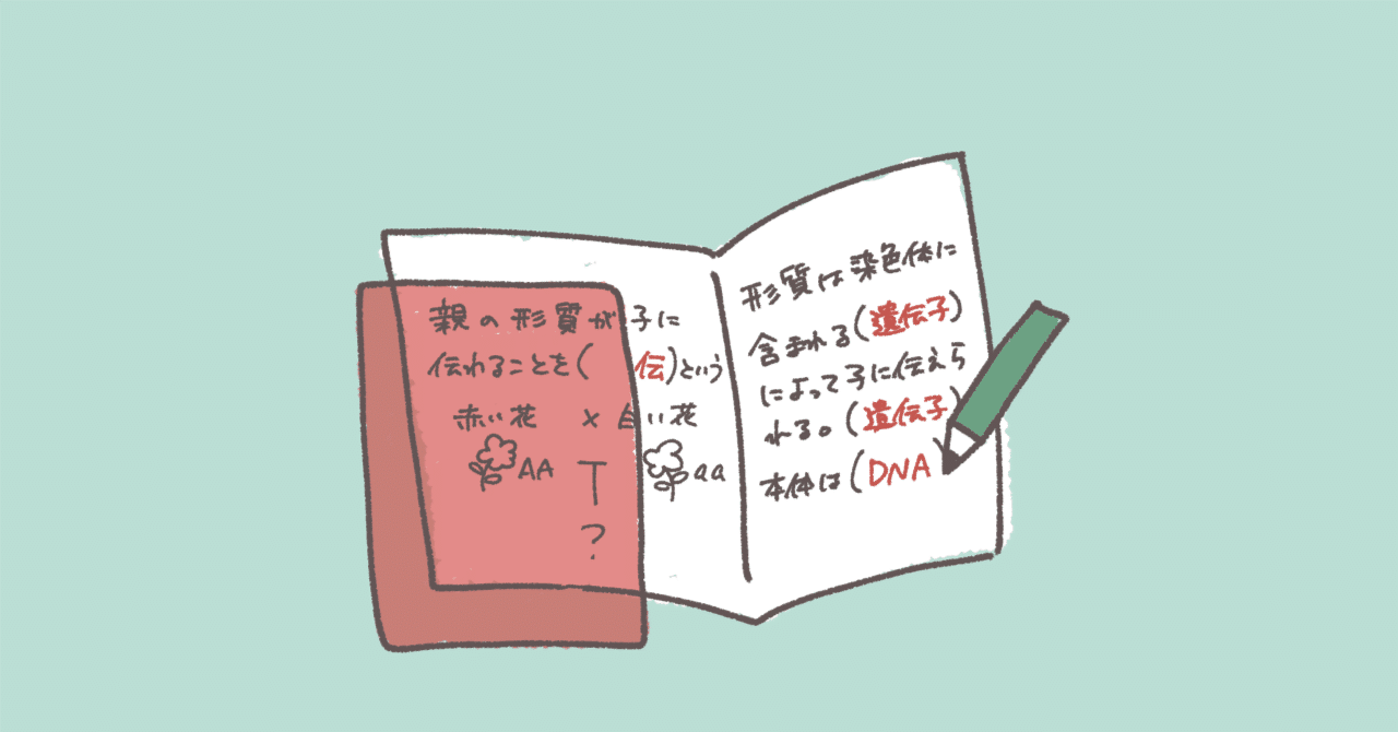 一級造園施工管理技士試験 一次試験の日に思う Haco ガーデンプランナー 庭のある暮らし植物のある暮らし Note