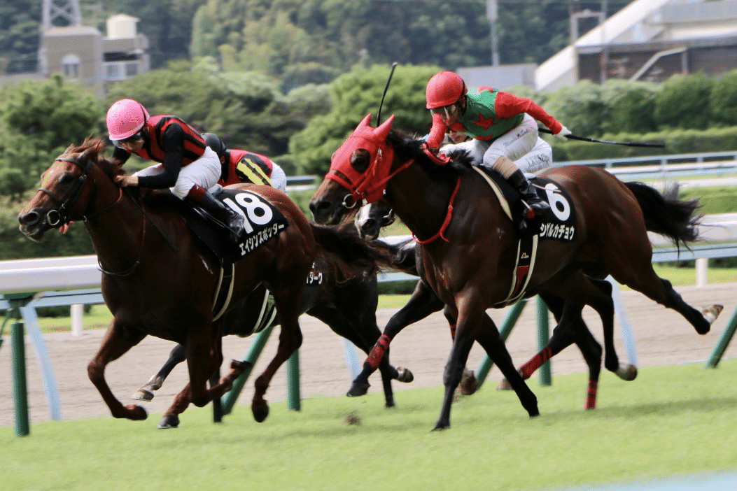 小倉競輪場と小倉競馬場のえんぴつ 通れる 