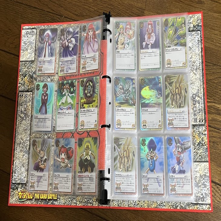 ガッシュカードを整理したはなし｜watariko