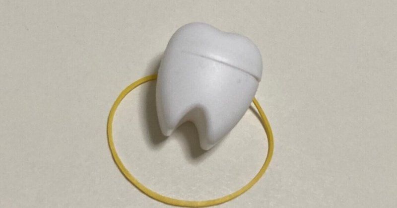 歯医者嫌い27歳が歯列矯正をするレポ④歯並びのために犠牲になる健康な歯