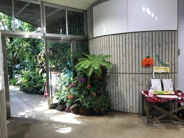 時代に取り残された 咲くやこの花館 大阪の植物園 に行ってきた 80 Maigoの旅行記 Note