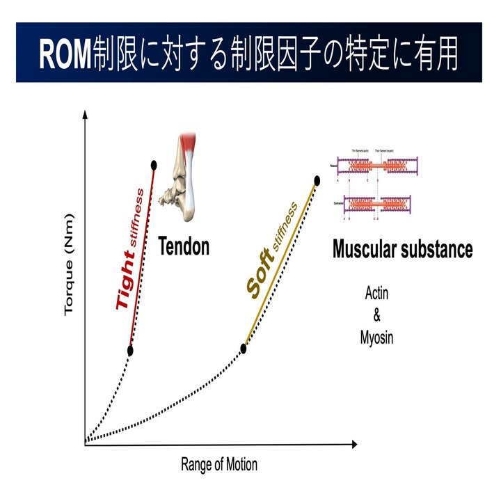 関節可動域 Range of Joint Motion ▽ 📙スライド学習シリーズ