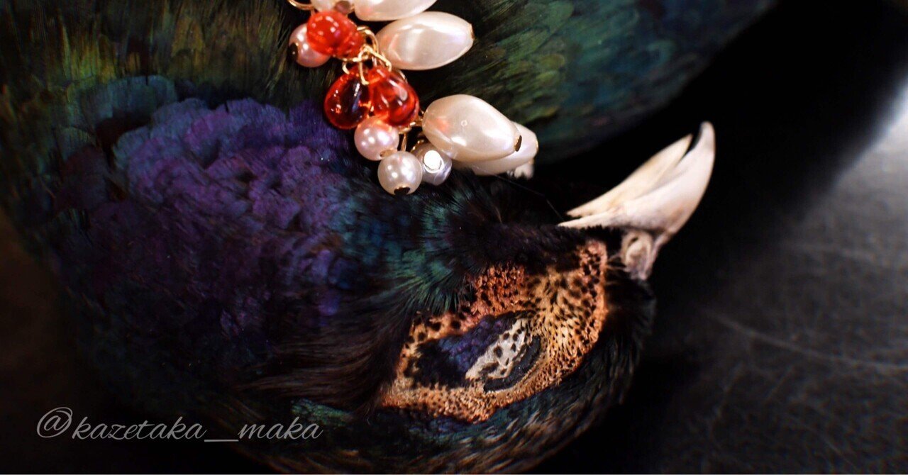 ‼️本物剥製‼️ 日本のキジ‼️プロが剥製‼️オマケ付き(o^－^o) 本物剥製‼️ 日本のキジ‼️プロが剥製‼️オマケ付き(o^－^o) - メルカリ