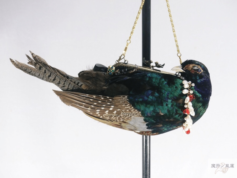 キジも鳴かずば｜風鷹