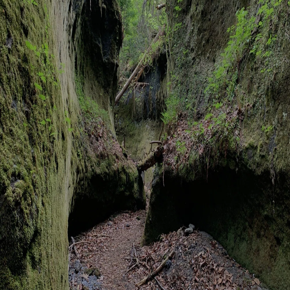 苔の回廊」の行き方 (How to get to The Moss Corridor)｜イチローラモ