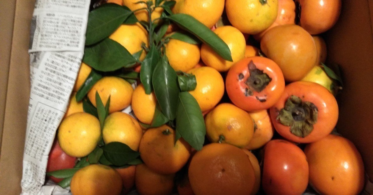 弟子にしてください Mikako Note 弟子にしてください Mikako Note