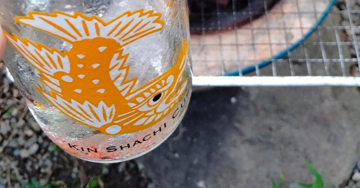 ステキなワンカップ 〜金鯱（きんしゃち）〜｜*Ⅲơ₃ơⅢ*栗英田テツヲ