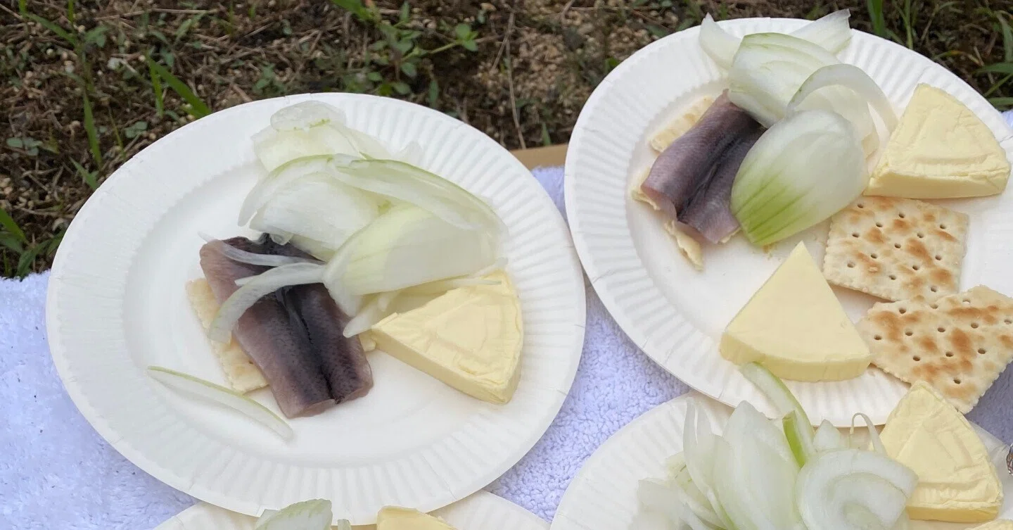 シュールストレミングを食べてみた話｜ビッテちゃん