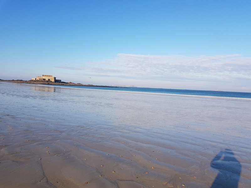 私の大好きな海で 今日ひろったもの Aircraftdesign Note