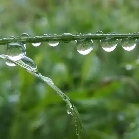 もむ丸
