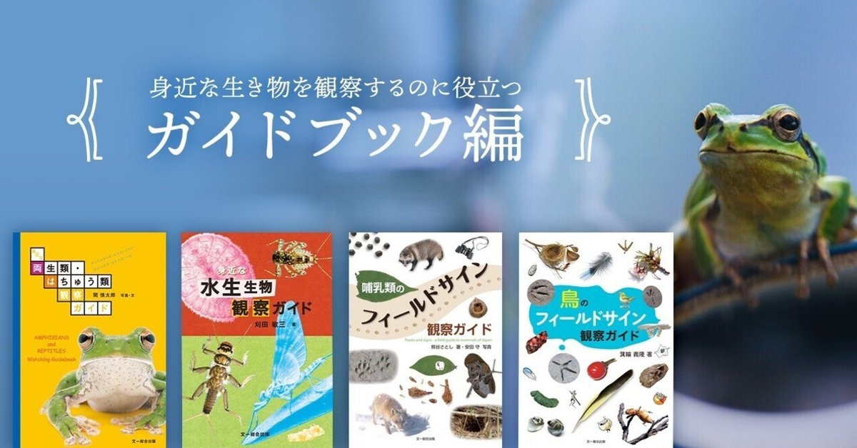 バーダー　文一総合出版　36冊セット 2025年最新】Yahoo!オークション -文一総合出版(本、雑誌)の中古