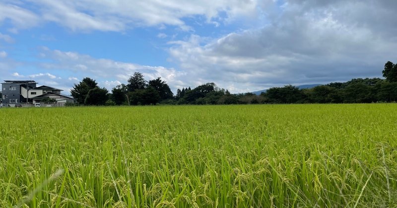 愛が呼ぶほうへ の新着タグ記事一覧 Note つくる つながる とどける