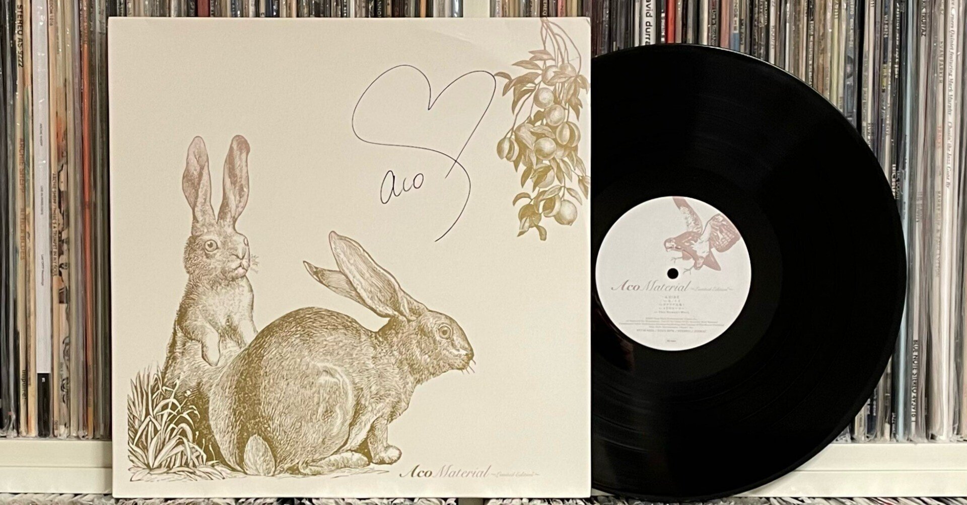 ACO ~サイン入りレコードA to Z (Donuts版) 第51回 ACO|五辺宏明 ACO ~サイン入りレコードA to Z (Donuts版) 第51回 ACO|五辺宏明