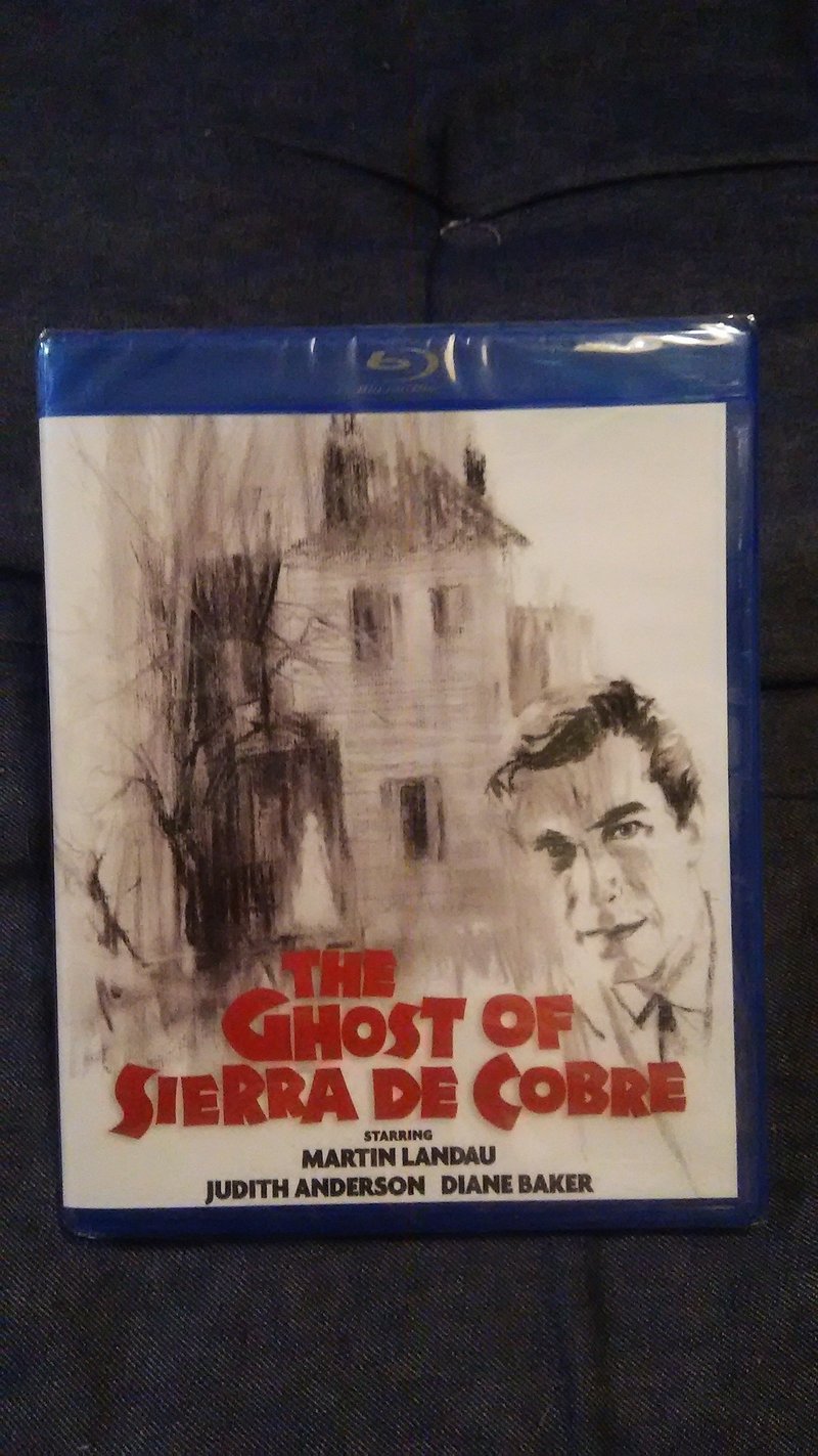 未発売映画劇場 シェラ デ コブレの幽霊 Hitoshi Kawamura Note