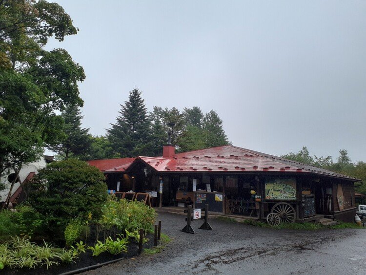 おはようございます。今日は朝から雨予報です☔