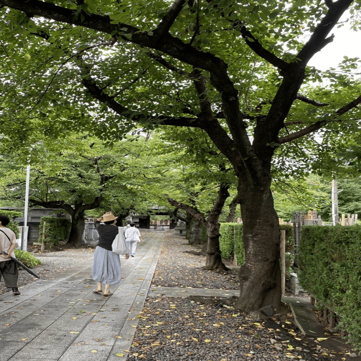 令和版武蔵野探勝会 其の一｜楠本奇蹄