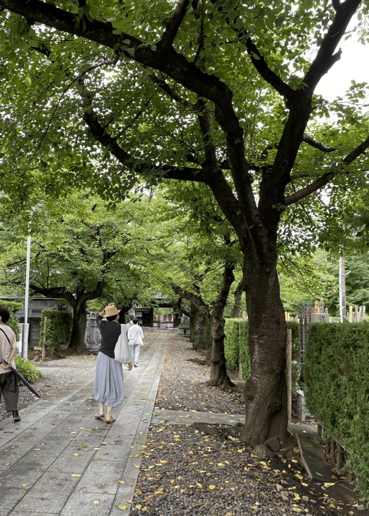 令和版武蔵野探勝会 其の一｜楠本奇蹄