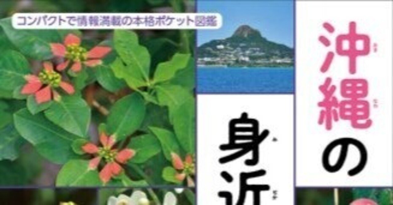 沖縄の1000種の身近な植物を手軽に調べられるコンパクトな図鑑が登場 ボーダーインク Note 沖縄の1000種の身近な植物を手軽に調べられるコンパクトな図鑑が登場 ボーダーインク Note