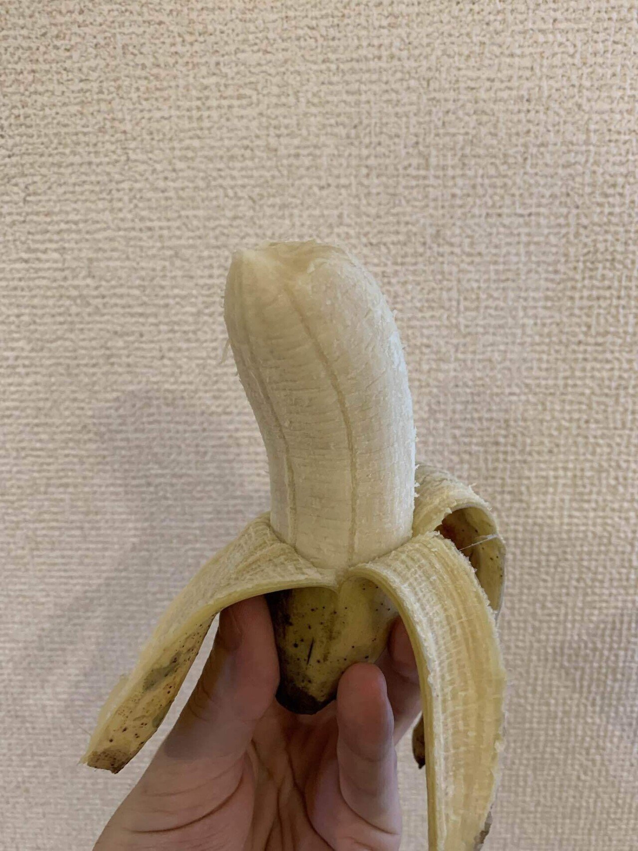 おもしろ食材レポ】珍バナナの銀バナナ｜株式会社アノニギワイ